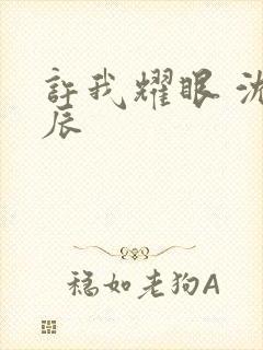 许我耀眼 沈皓辰