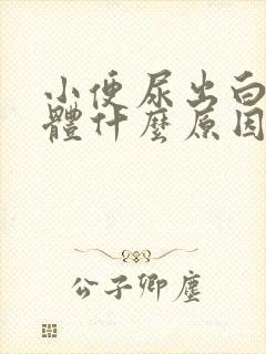 小便尿出白色液体什么原因