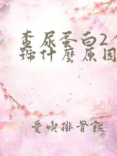 查尿蛋白2个加号什么原因