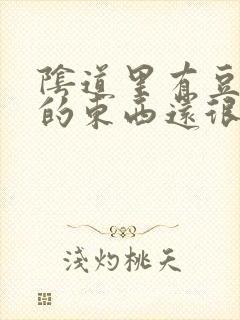 阴道里有豆腐渣的东西还很痒