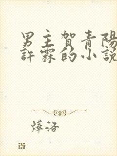 男主贺青阳女主许霖的小说