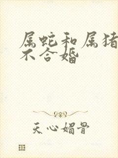 属蛇和属猪的合不合婚