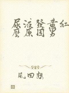 尿液发黄红是什么原因男