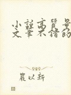 小说高质量言情文笔不错的