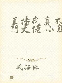 直播我真不是道门大佬 小熊猫