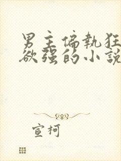 男主偏执狂占有欲强的小说