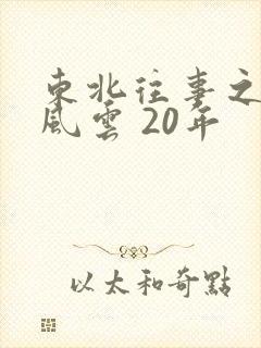 东北往事之黑道风云 20年