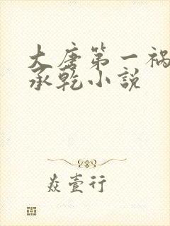 大唐第一祸害李承乾小说