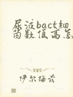 尿液bact细菌数值高怎么回事