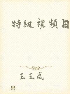特级视频日bb