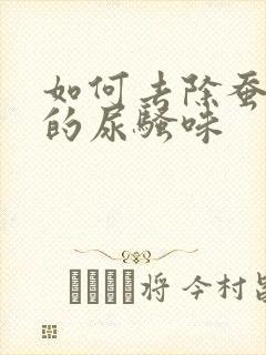 如何去除蚕丝被的尿骚味