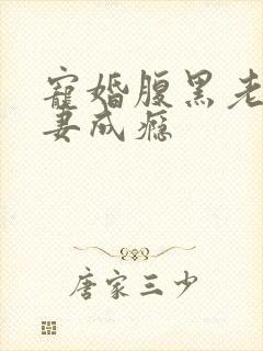 宠婚腹黑老公诱妻成瘾