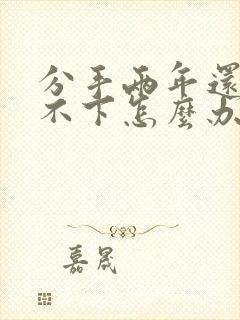 分手两年还是放不下怎么办