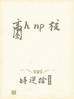 高h np 校园