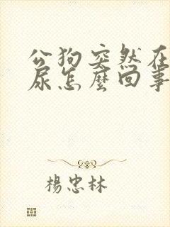 公狗突然在家乱尿怎么回事