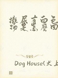 撒尿有白色沉淀物是怎么回事