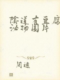 阴道有豆腐渣分泌物图片