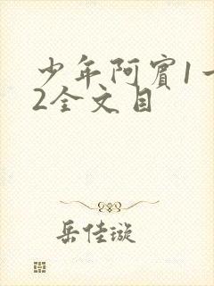 少年阿宾1一72全文目