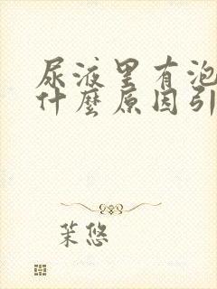 尿液里有泡沫是什么原因引起的