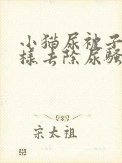 小猫尿被子上怎样去除尿骚味