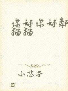 你好你好邻居躲猫猫