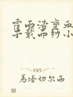 霍雨浩变血魔圣子戴面纱小说