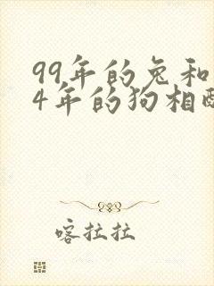 99年的兔和94年的狗相配吗