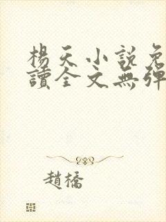 杨天小说免费阅读全文无弹窗