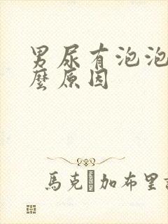 男尿有泡泡是什么原因