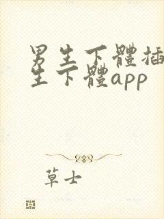 男生下体插入女生下体app