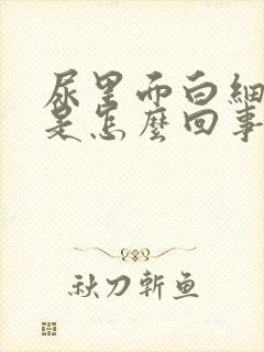 尿里面白细胞高是怎么回事