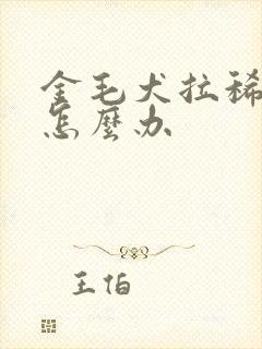 金毛犬拉稀便血怎么办