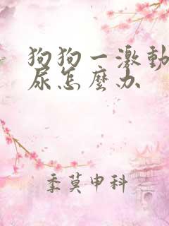 狗狗一激动就乱尿怎么办