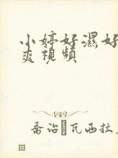 小婷好湿好紧好爽视频