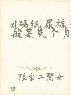 xl码纸尿裤一般是几个月宝宝穿