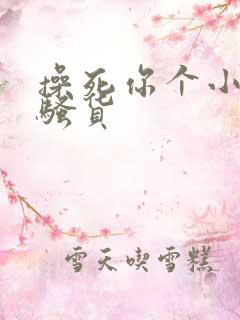 操死你个小母狗骚货