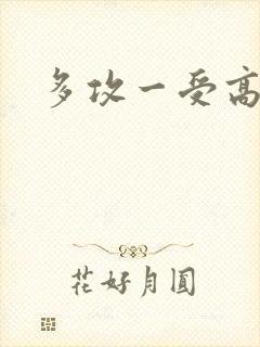 多攻一受高h