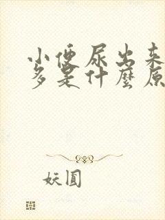 小便尿出来泡泡多是什么原因