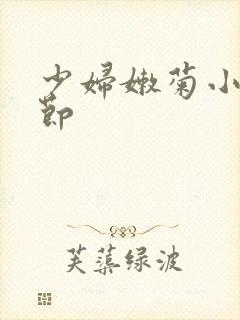 少妇嫩菊小说章节