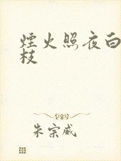 烟火照夜白温南枝