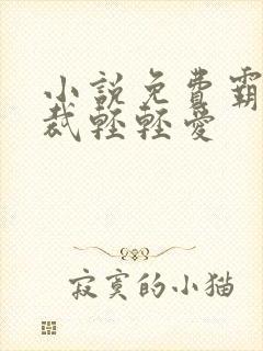 小说免费霸道总裁轻轻爱