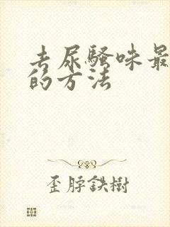 去尿骚味最简单的方法