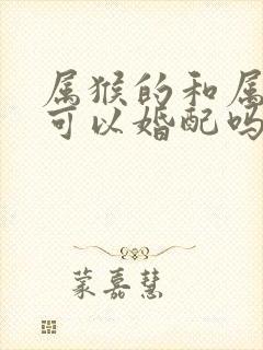 属猴的和属马的可以婚配吗