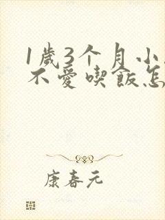 1岁3个月小孩不爱吃饭怎么办