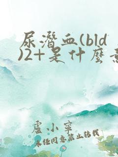 尿潜血(bld)2+是什么意思