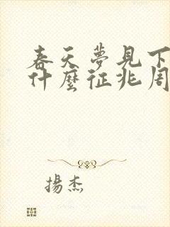 春天梦见下雪是什么征兆周公解梦