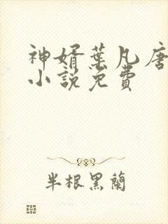 神婿叶凡唐若雪小说免费