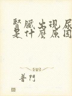 肾脏出现尿蛋白是什么原因