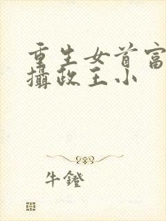 重生女首富娇养摄政王小