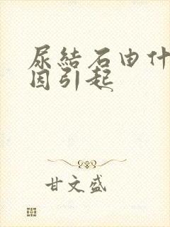 尿结石由什么原因引起